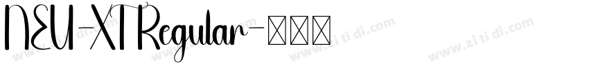 NEU-XT Regular字体转换